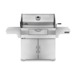 Professional 605 Charcoal Cart